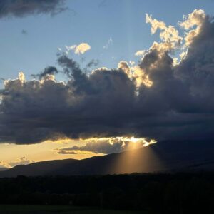 novedades veintiseis